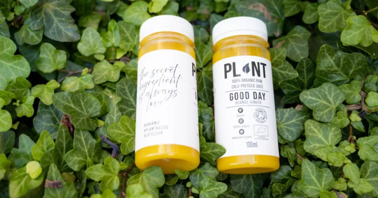 Featured image for Estrogen Detoxification on Plant-Based Keto Paleo 7 Power Foods to Reset Hormones 2026